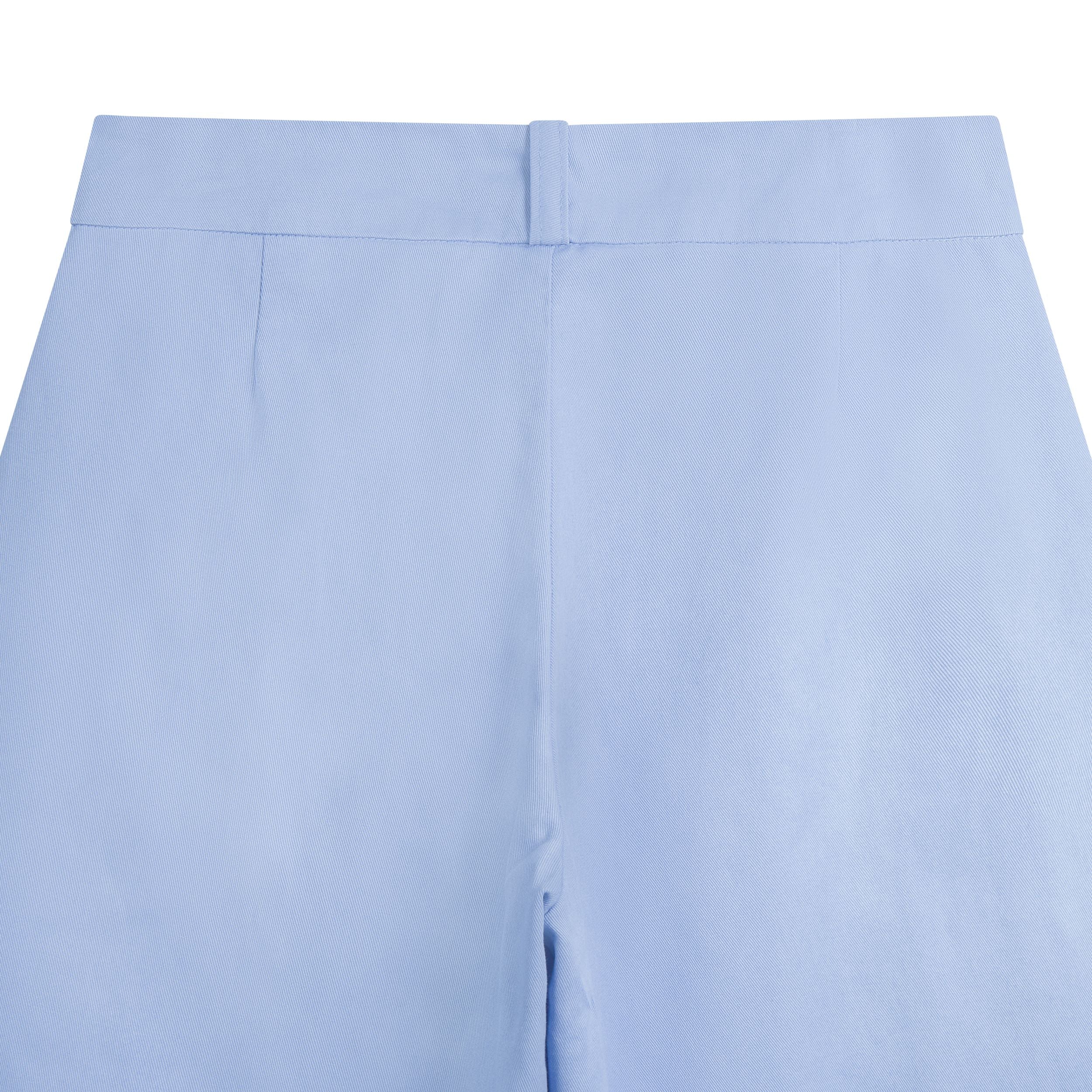 Carrier Company Dutch Trouser in Powder Blue