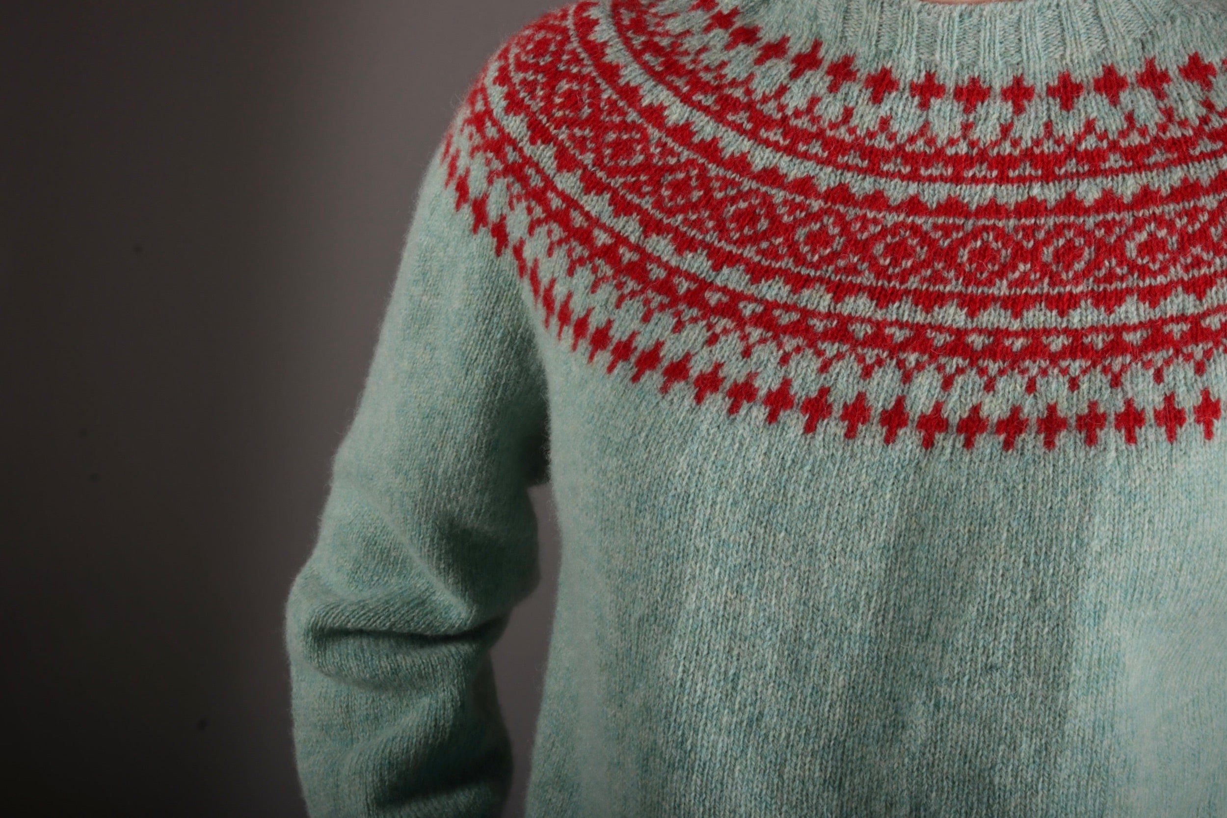 Carrier Company Shetland Lambswool Yoke Jumper in Fauna & Tudor