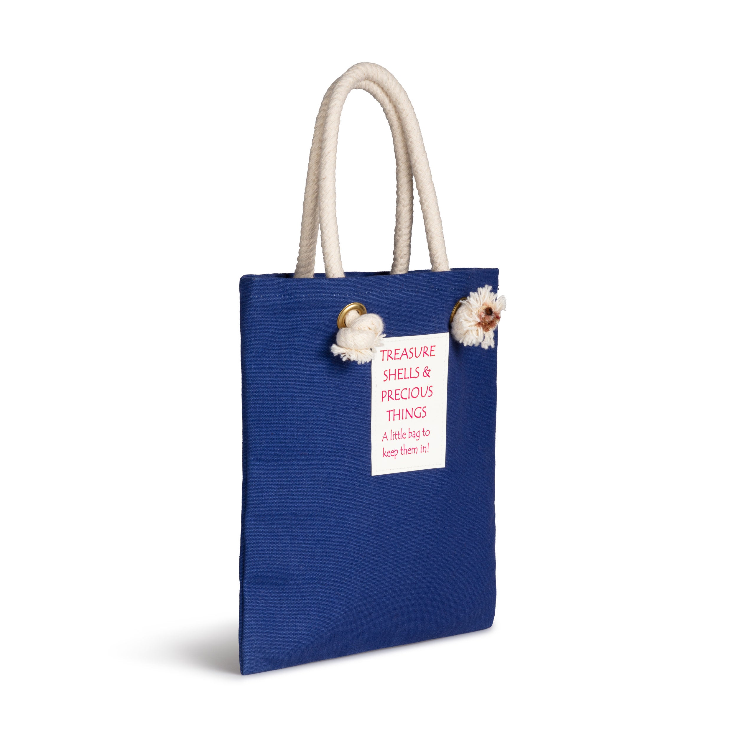 Carrier Company Treasure Bag in Royal Blue