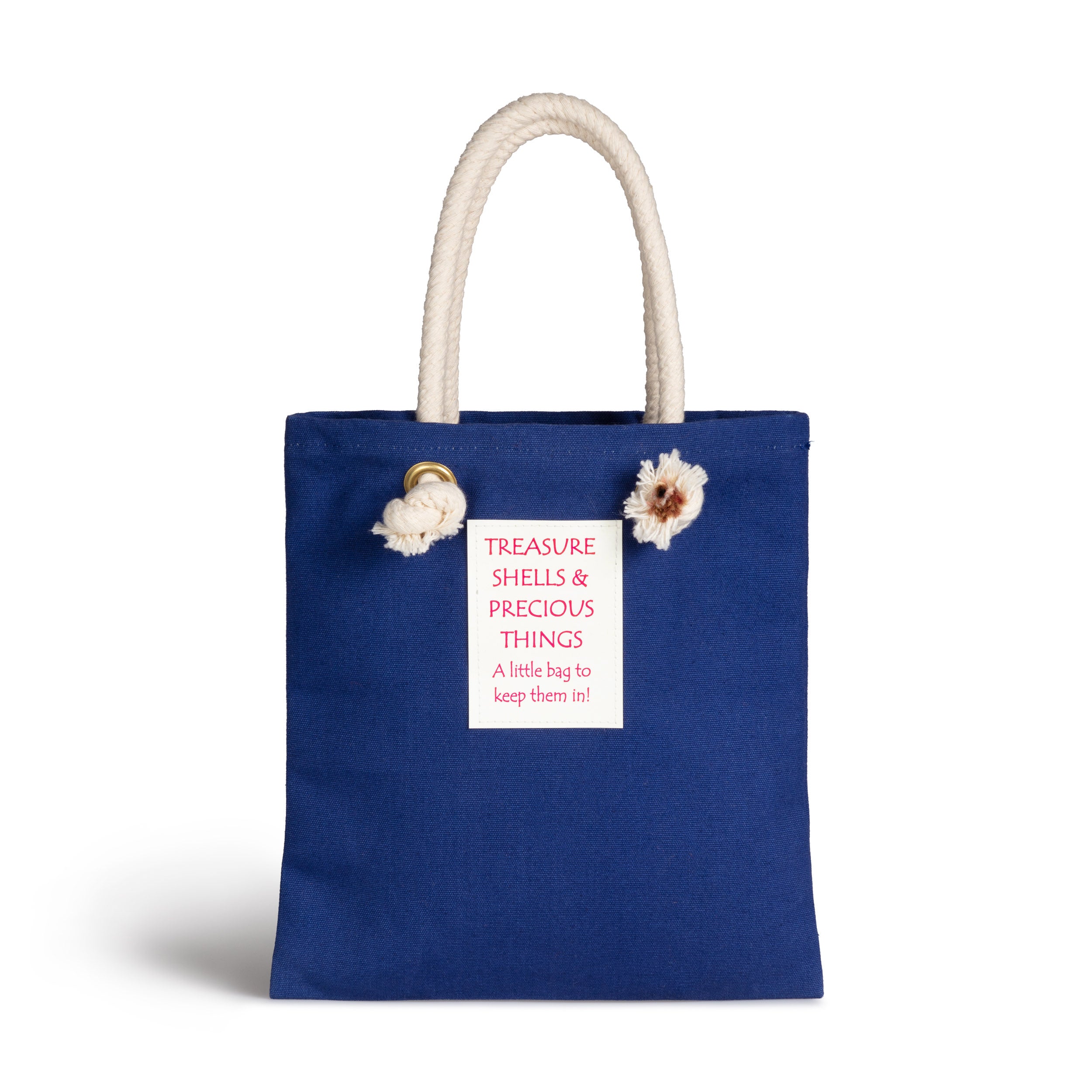Carrier Company Treasure Bag in Royal Blue