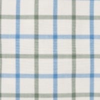 blue-green-check