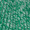 shamrock