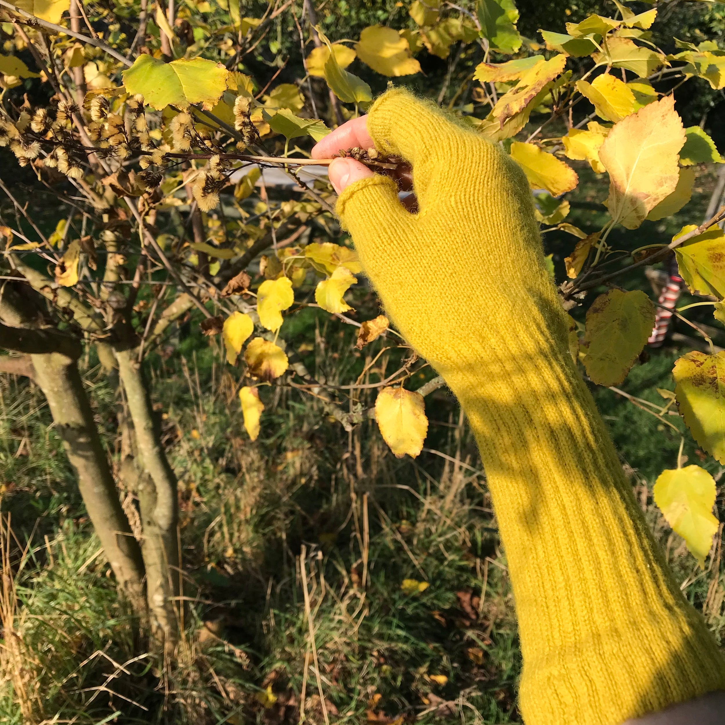 Carrier Company Gathering Glove in Piccalilli